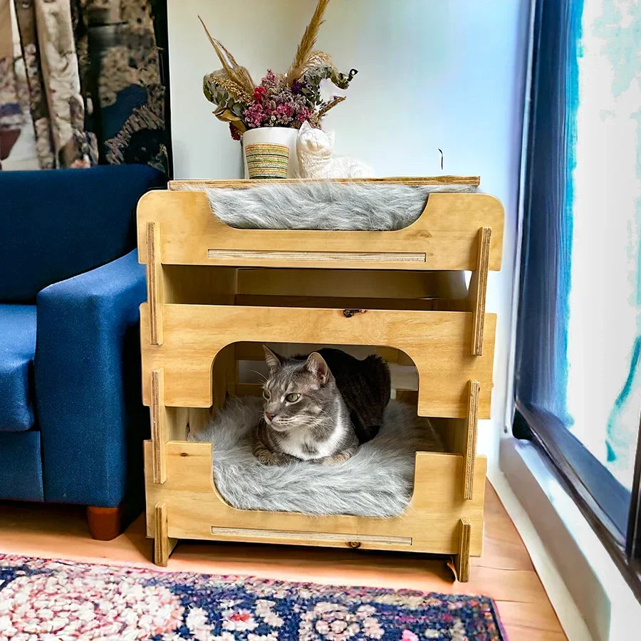 Gato en un hogar adaptado para sus necesidades naturales