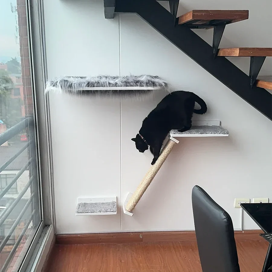 Gato activo en un entorno de enriquecimiento ambiental