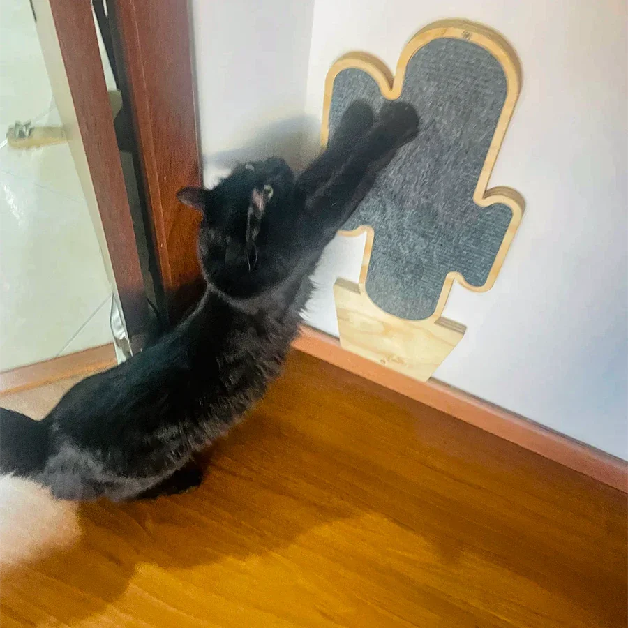 Gato usando un rascador en lugar de los muebles