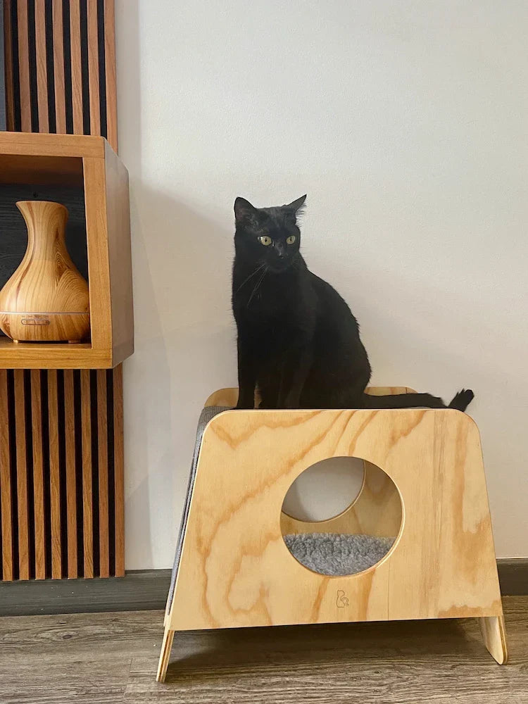 Mueble de diseño para gatos integrado en un hogar moderno