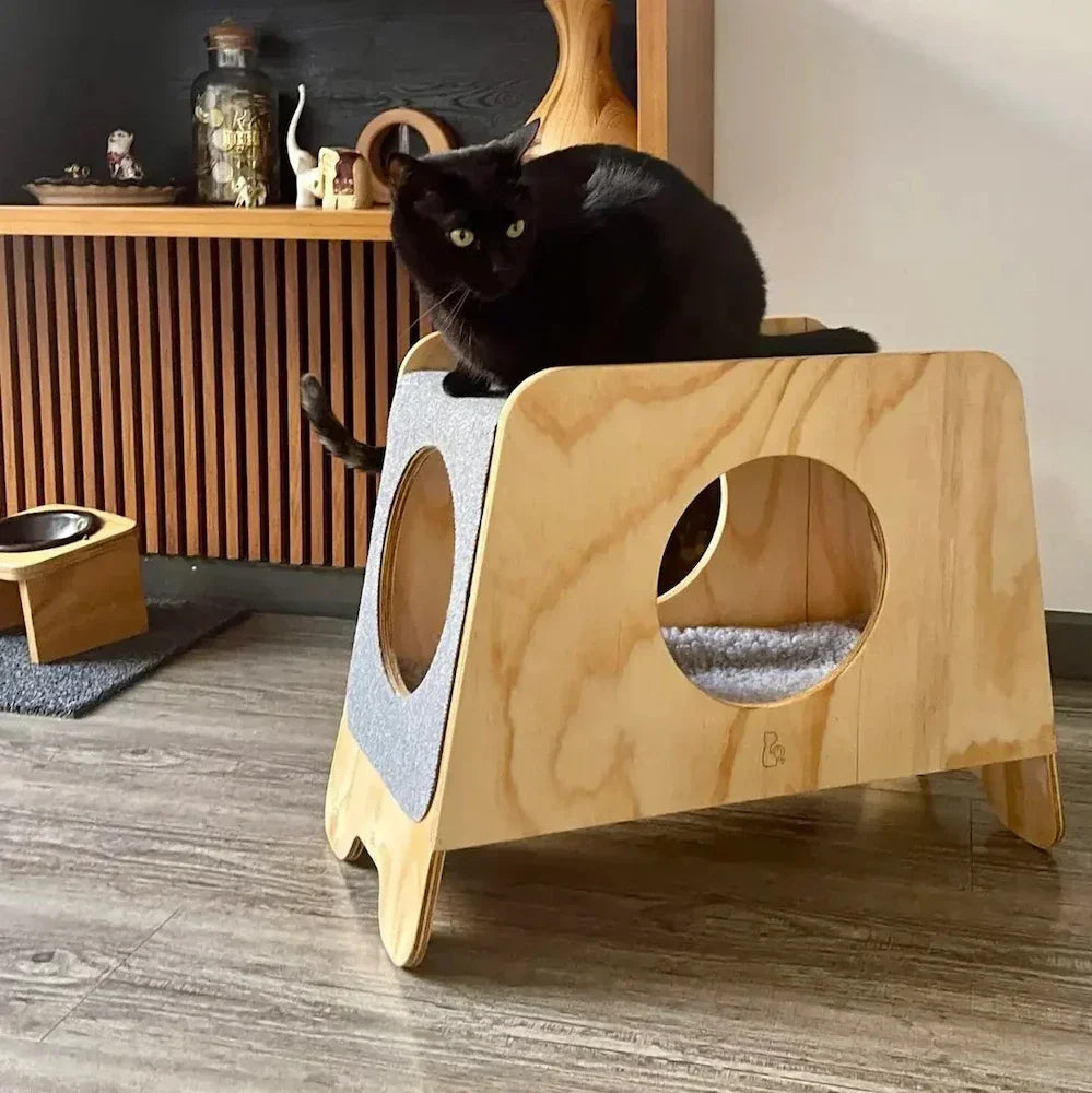 Gato estimulado en un apartamento con espacio vertical