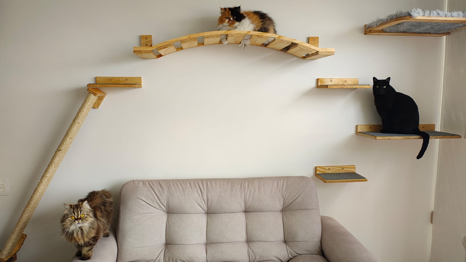 Rascador Escalador para Gatos