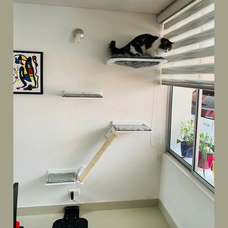 Combo Gato Ventanero