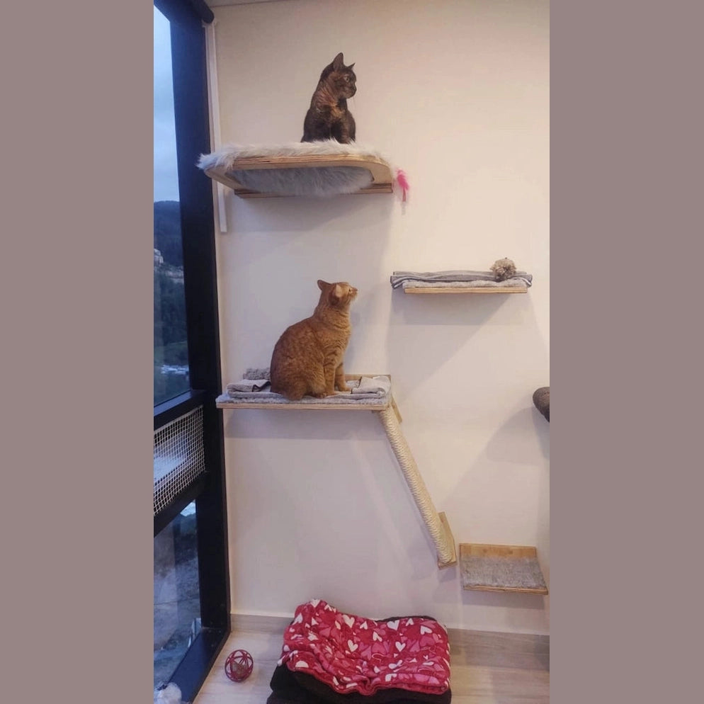 Combo Gato Ventanero