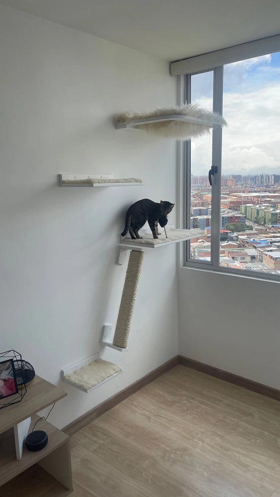 Combo Gato Ventanero