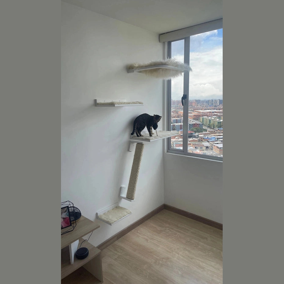 Combo Gato Ventanero