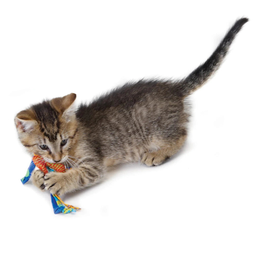 Juguete Dental para Gatos con Catnip – Catstages Dental Health Chew