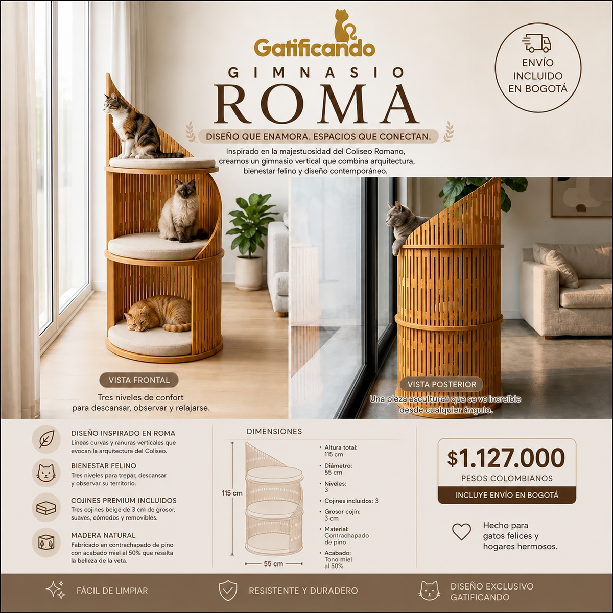 Gimnasio Roma