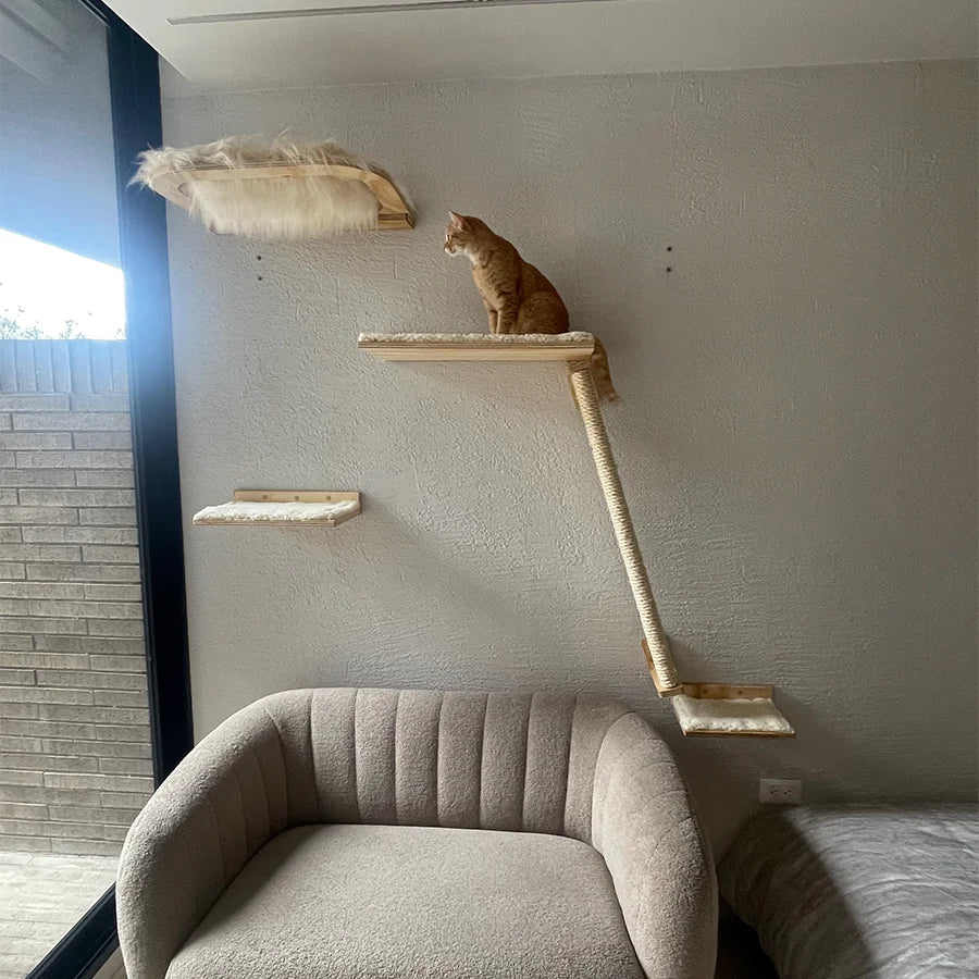 Combo Gato Ventanero