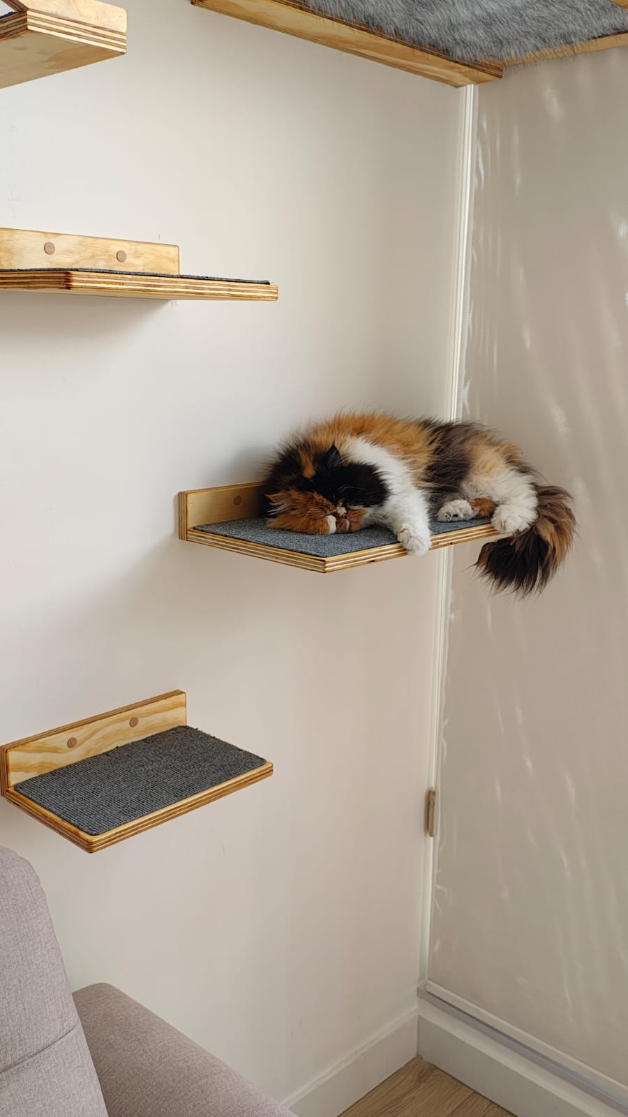 Repisa para Gatos de Pared 60 × 30 cm | Madera Natural con Tapete Antideslizante