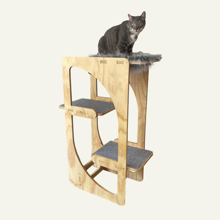 Gimnasio Bastet