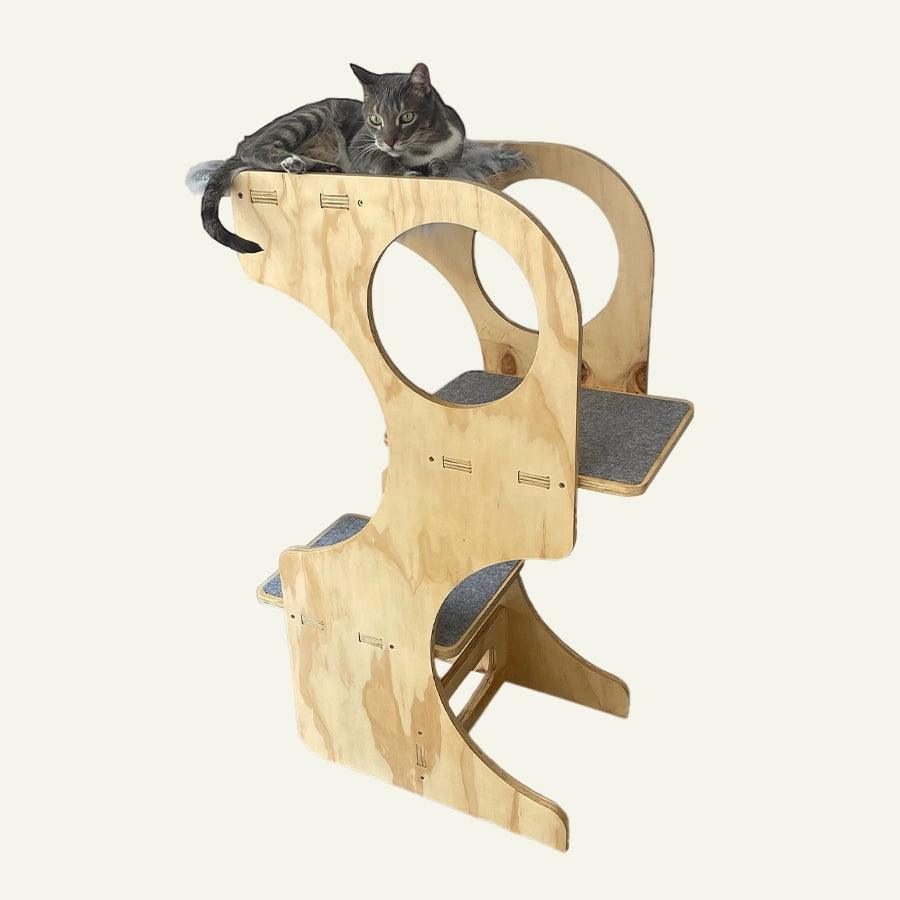 Gimnasio Zen para Gatos