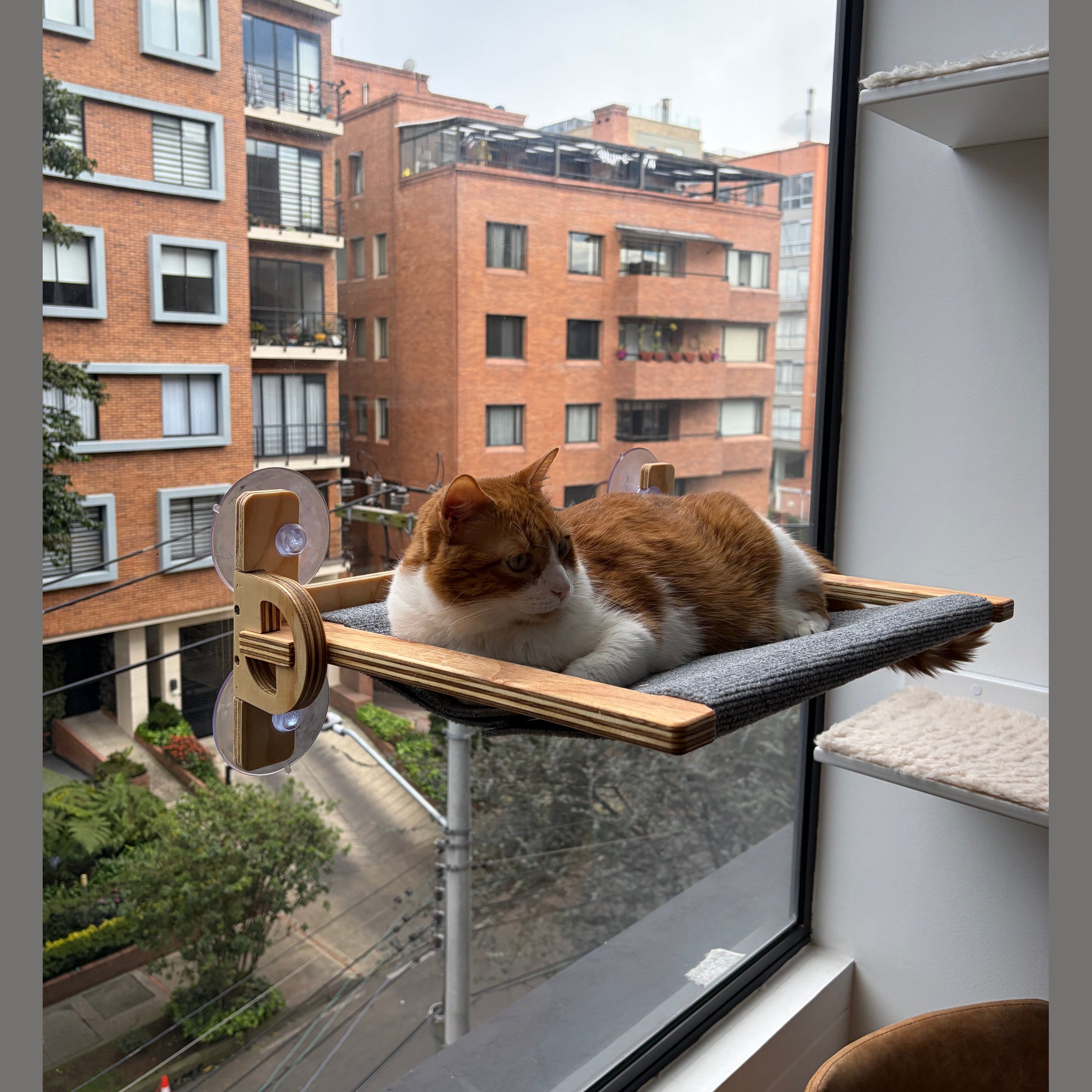 Mirasol – Hamaca de ventana para gatos