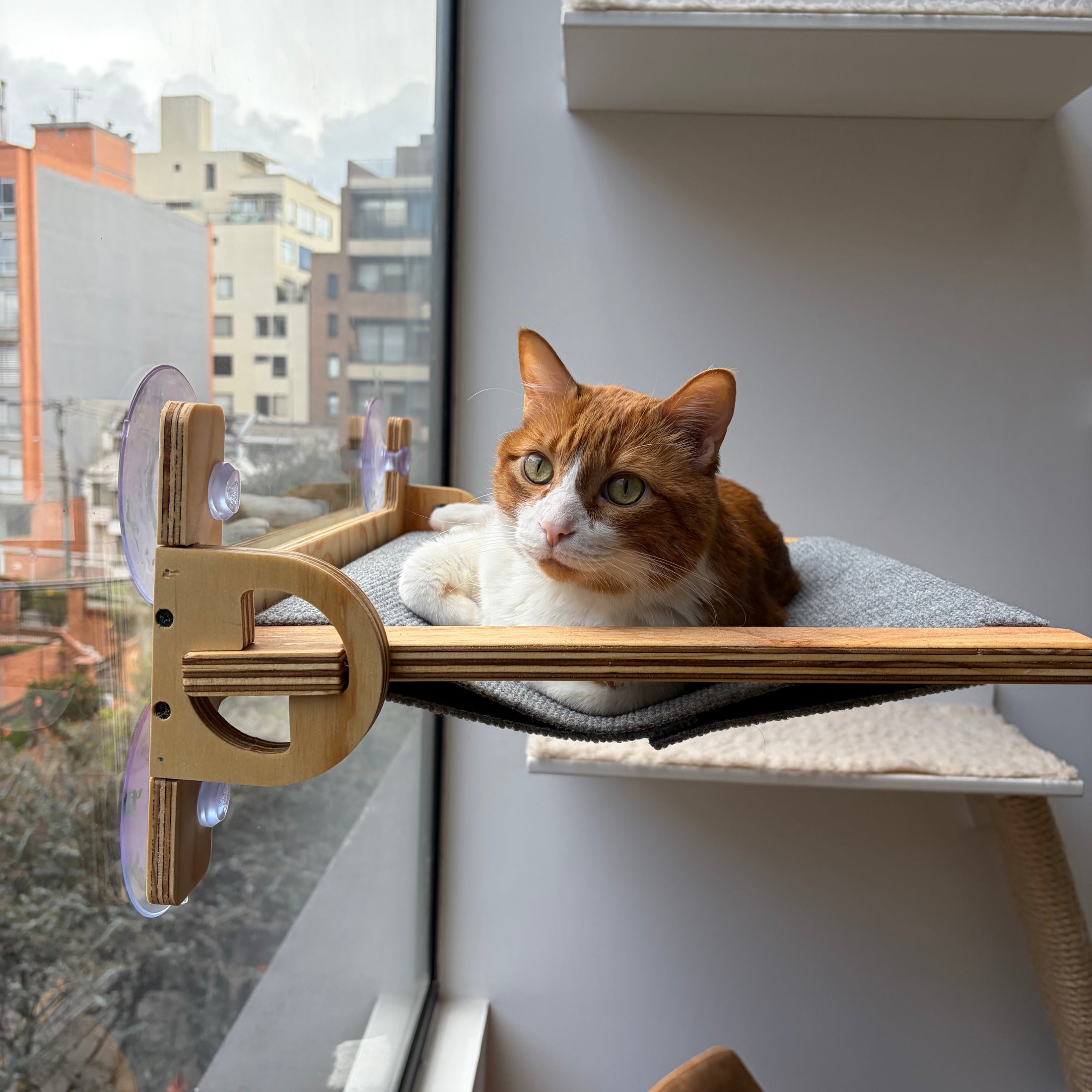 Mirasol – Hamaca de ventana para gatos
