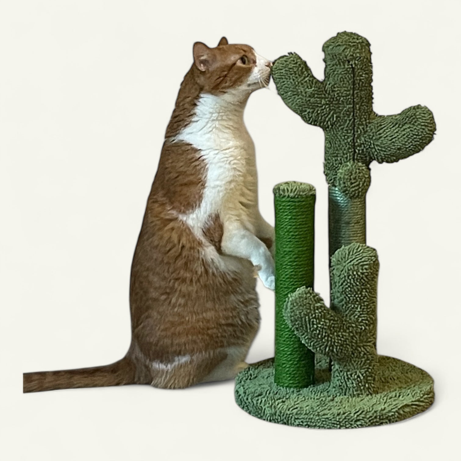 Rascador Cactus