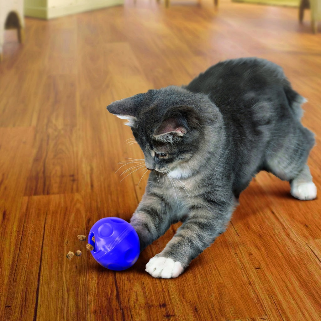 KONG Active Treat Dispensing Ball | Pelota Dispensadora de Premios para Gatos