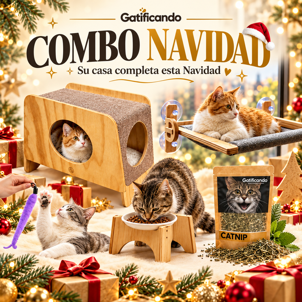 Combo Navidad Gatificando – El regalo completo para tu gato: Imagen promocional del Combo Navidad Gatificando