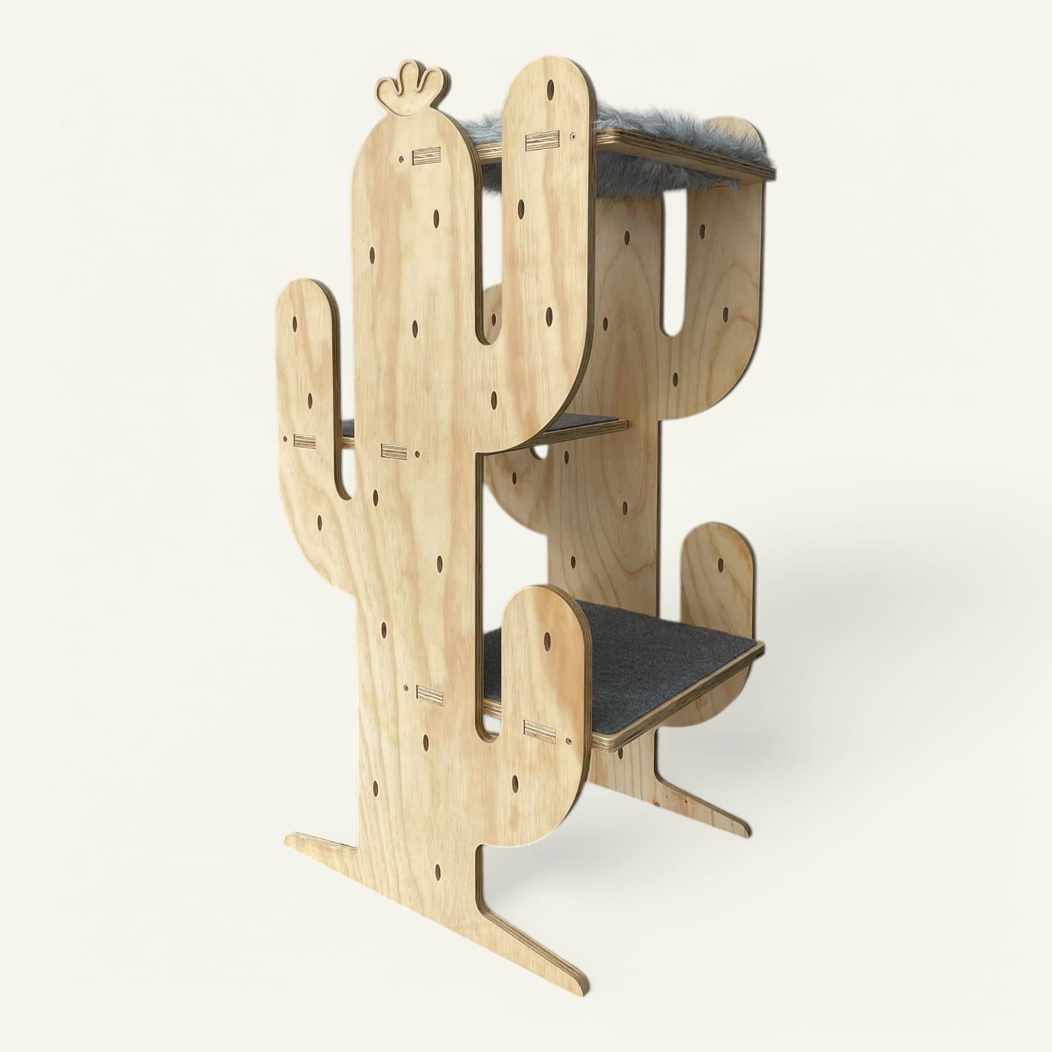 Gimnasio Cactus