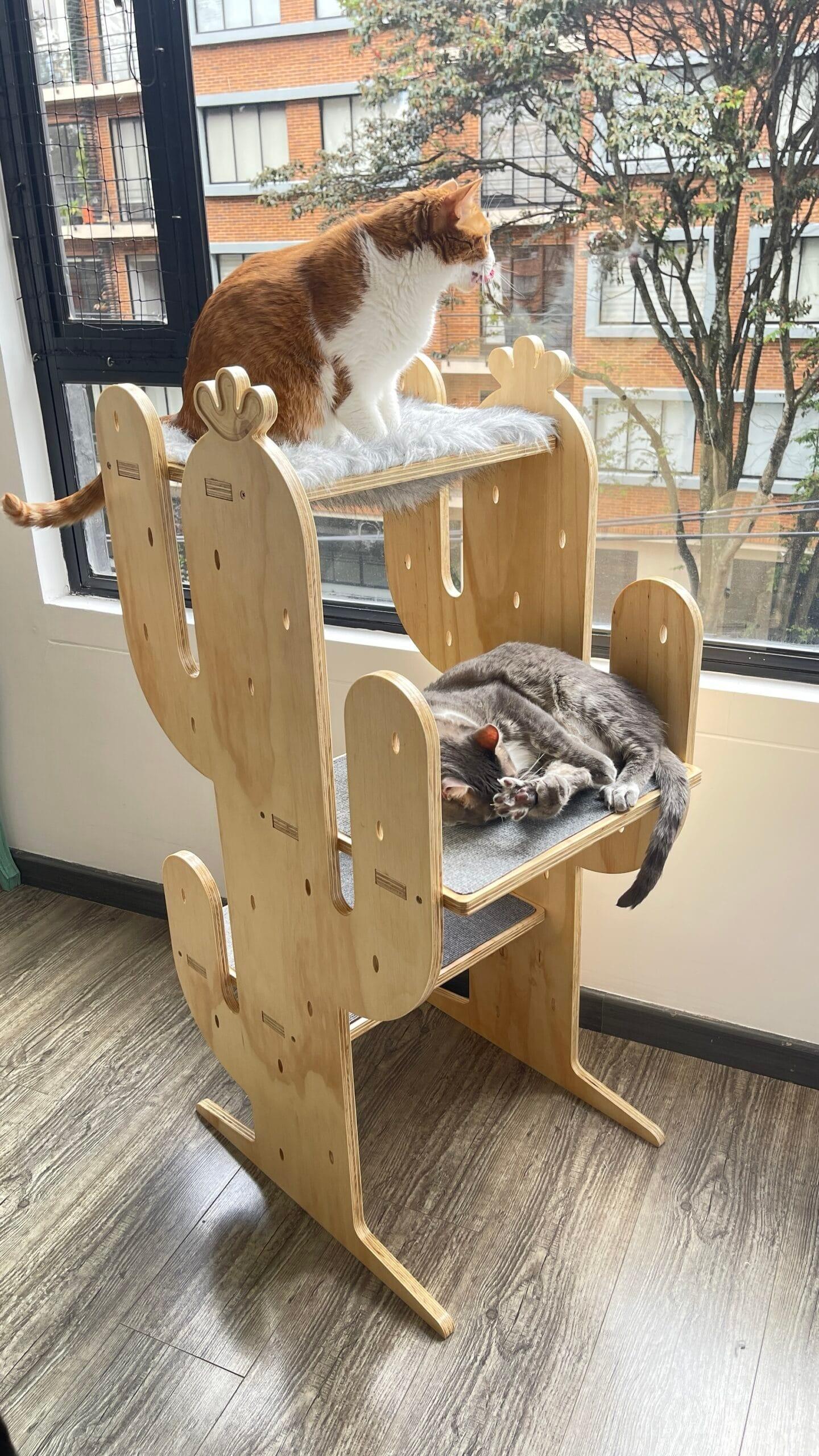 gimnasio para gatos - gimnasios para gato - gimnasios para gatos - bogota - gatificando