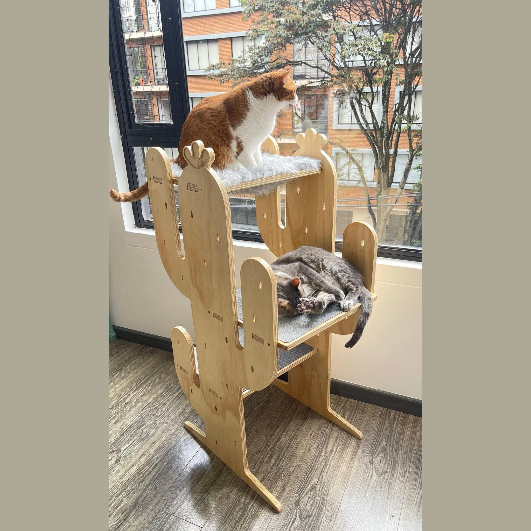 gimnasio para gatos - gimnasios para gato - gimnasios para gatos - bogota - gatificando