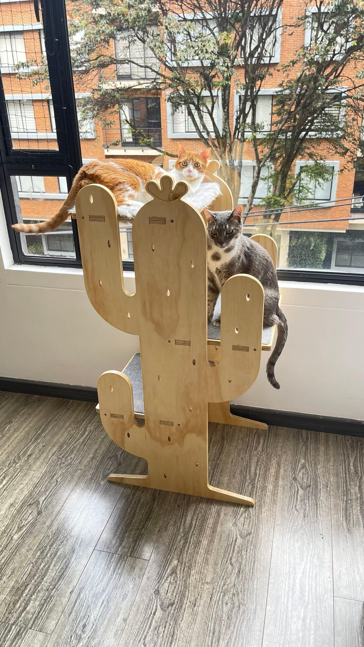 gimnasio para gatos - gimnasios para gato - gimnasios para gatos - bogota - gatificando