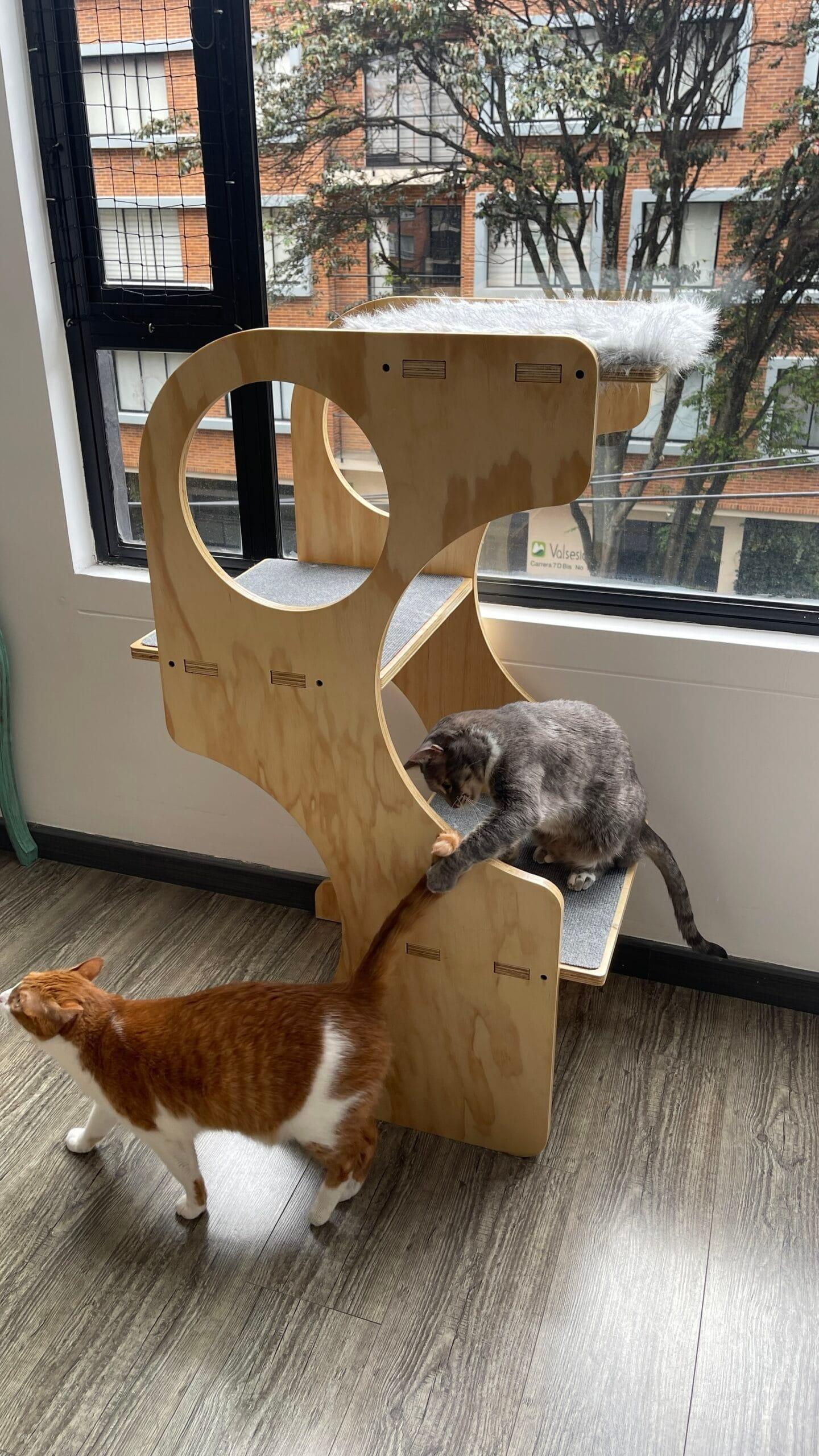gimnasio para gatos - gimnasios para gato - gimnasios para gatos - bogota - gatificando