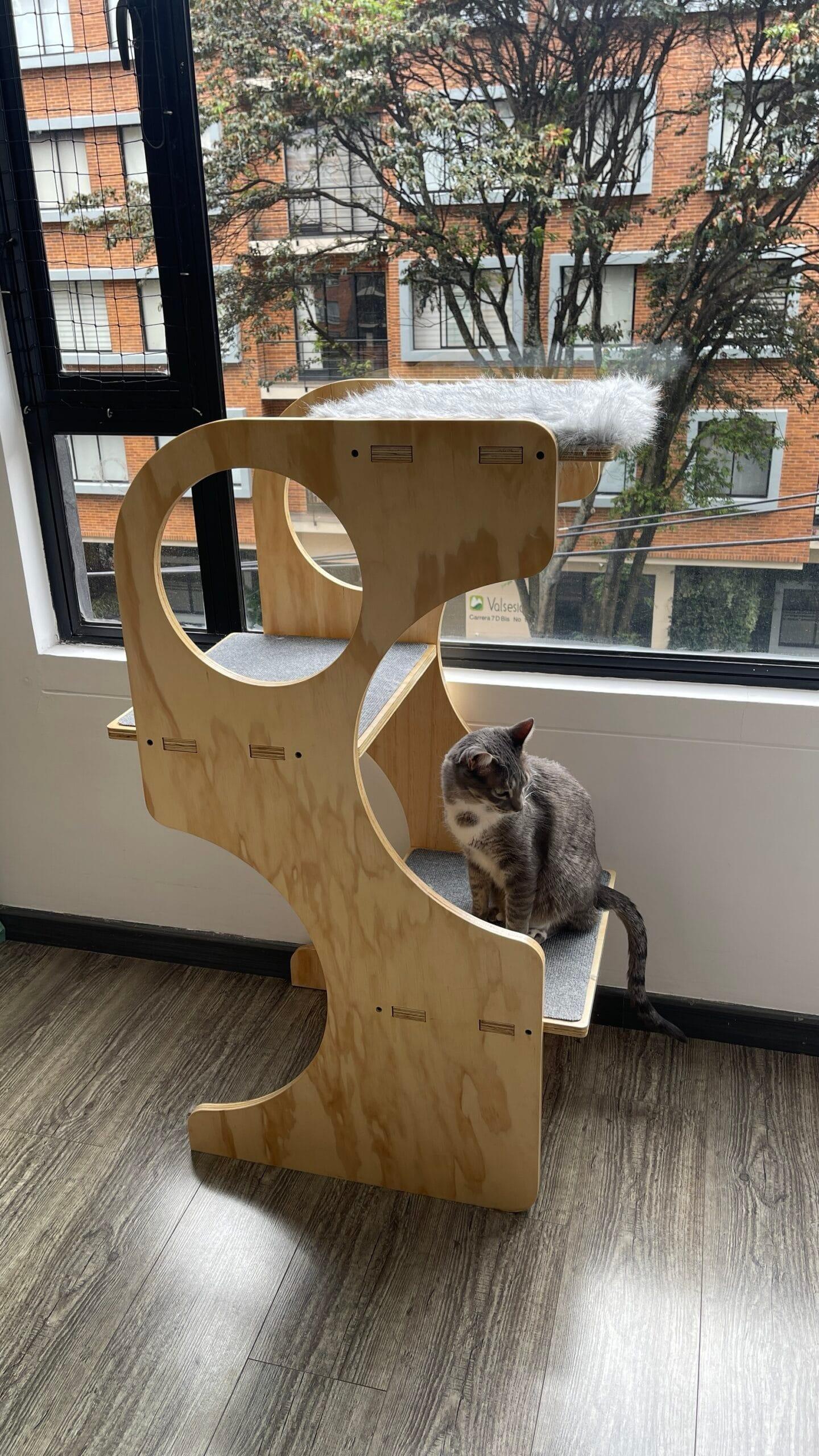 gimnasio para gatos - gimnasios para gato - gimnasios para gatos - bogota - gatificando