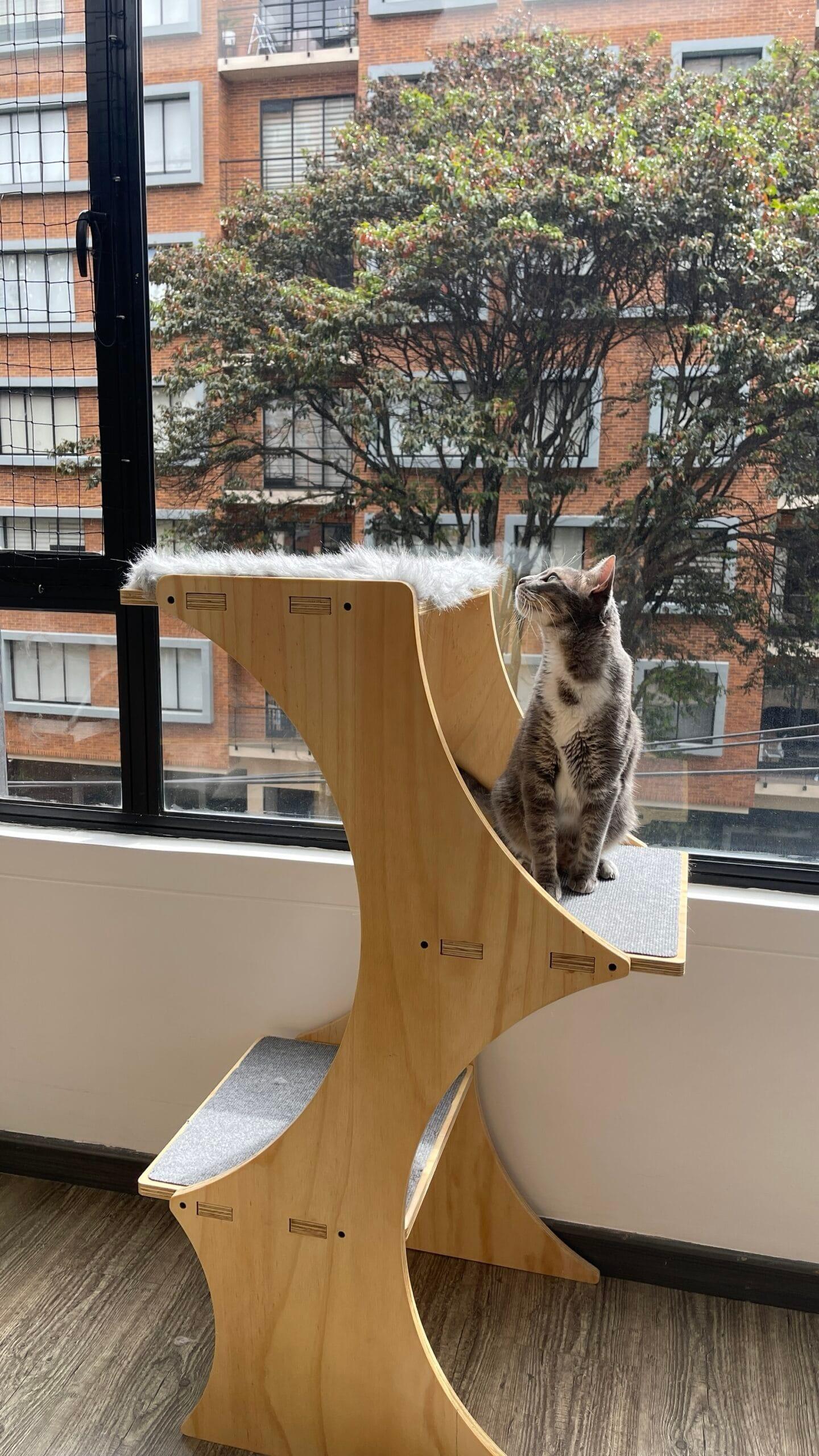 gimnasio para gatos - gimnasios para gato - gimnasios para gatos - bogota - gatificando
