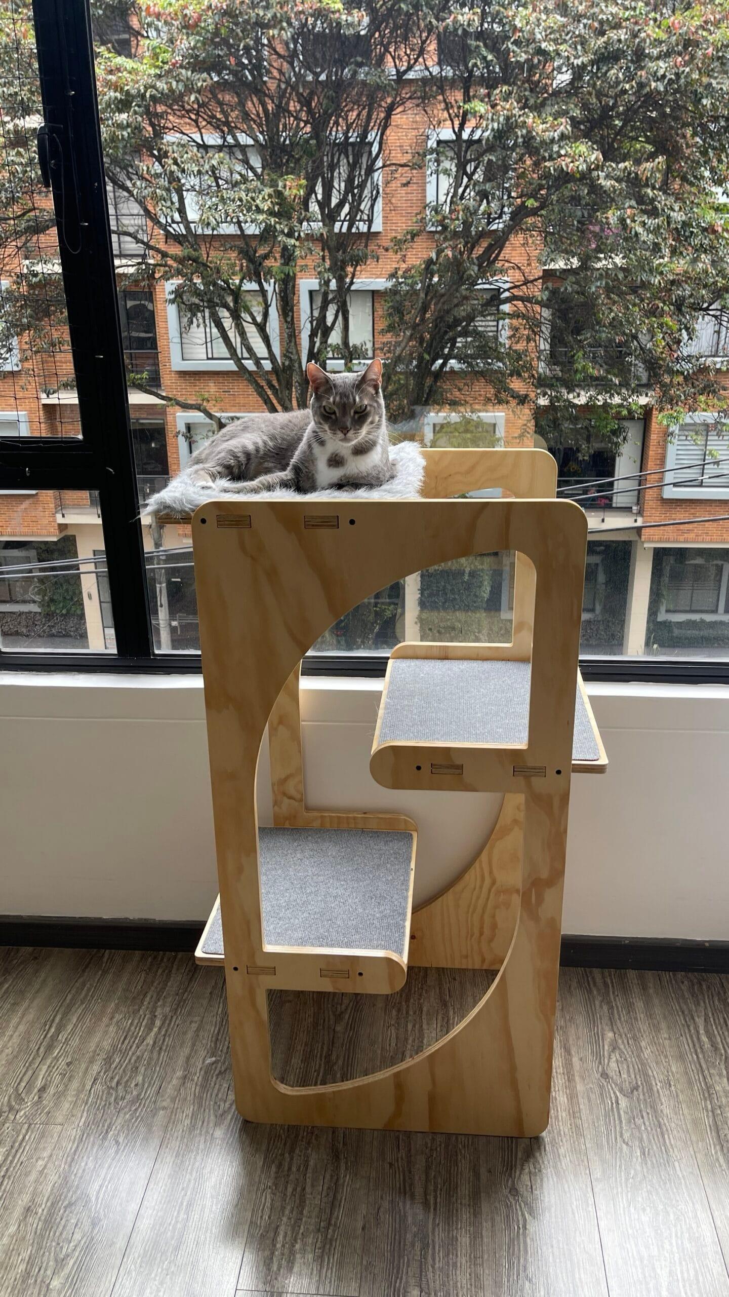 gimnasio para gatos - gimnasios para gato - gimnasios para gatos - bogota - gatificando