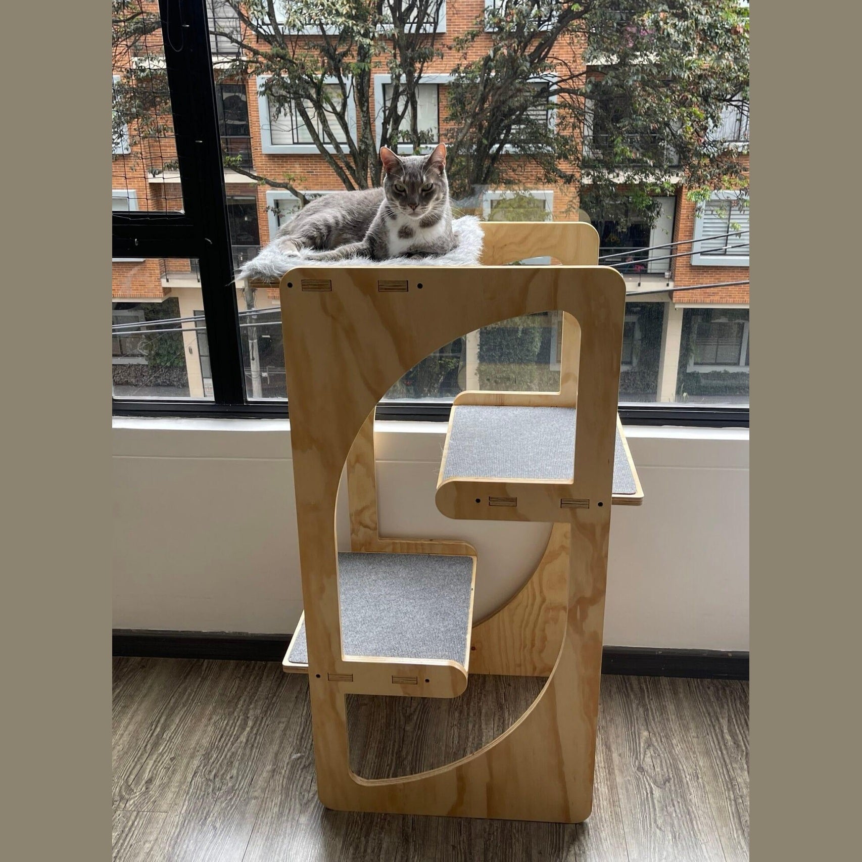 gimnasio para gatos - gimnasios para gato - gimnasios para gatos - bogota - gatificando