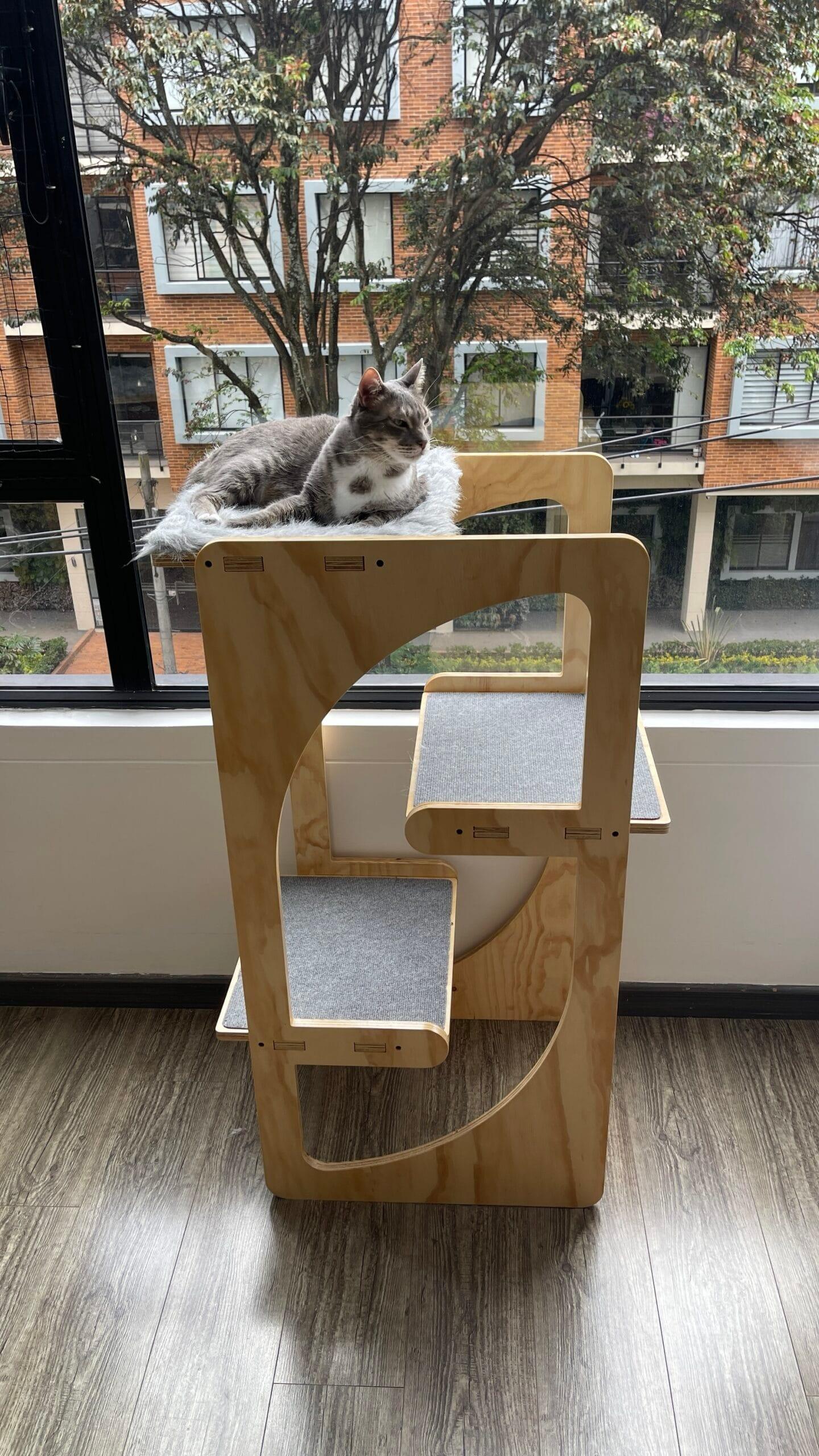 gimnasio para gatos - gimnasios para gato - gimnasios para gatos - bogota - gatificando