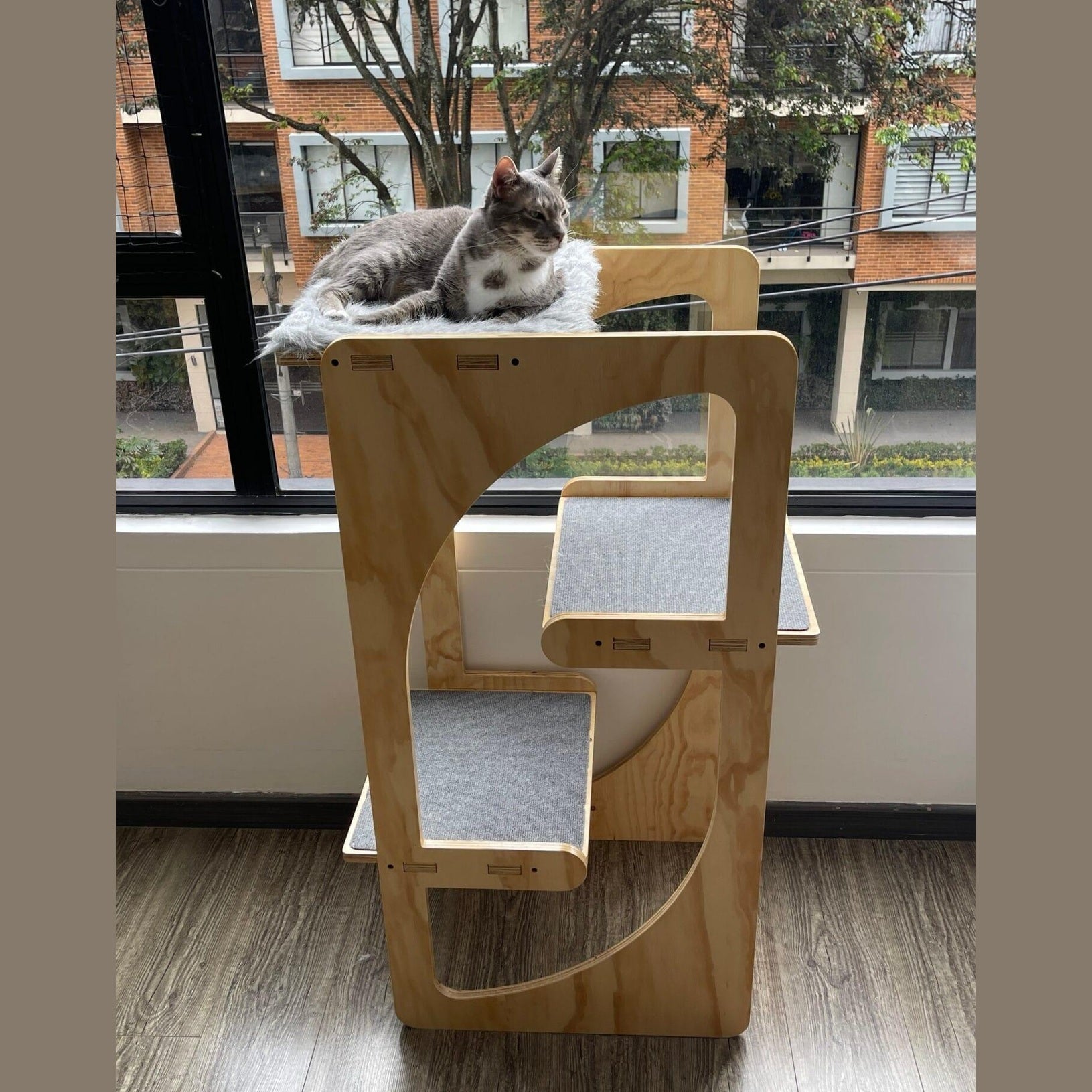 gimnasio para gatos - gimnasios para gato - gimnasios para gatos - bogota - gatificando