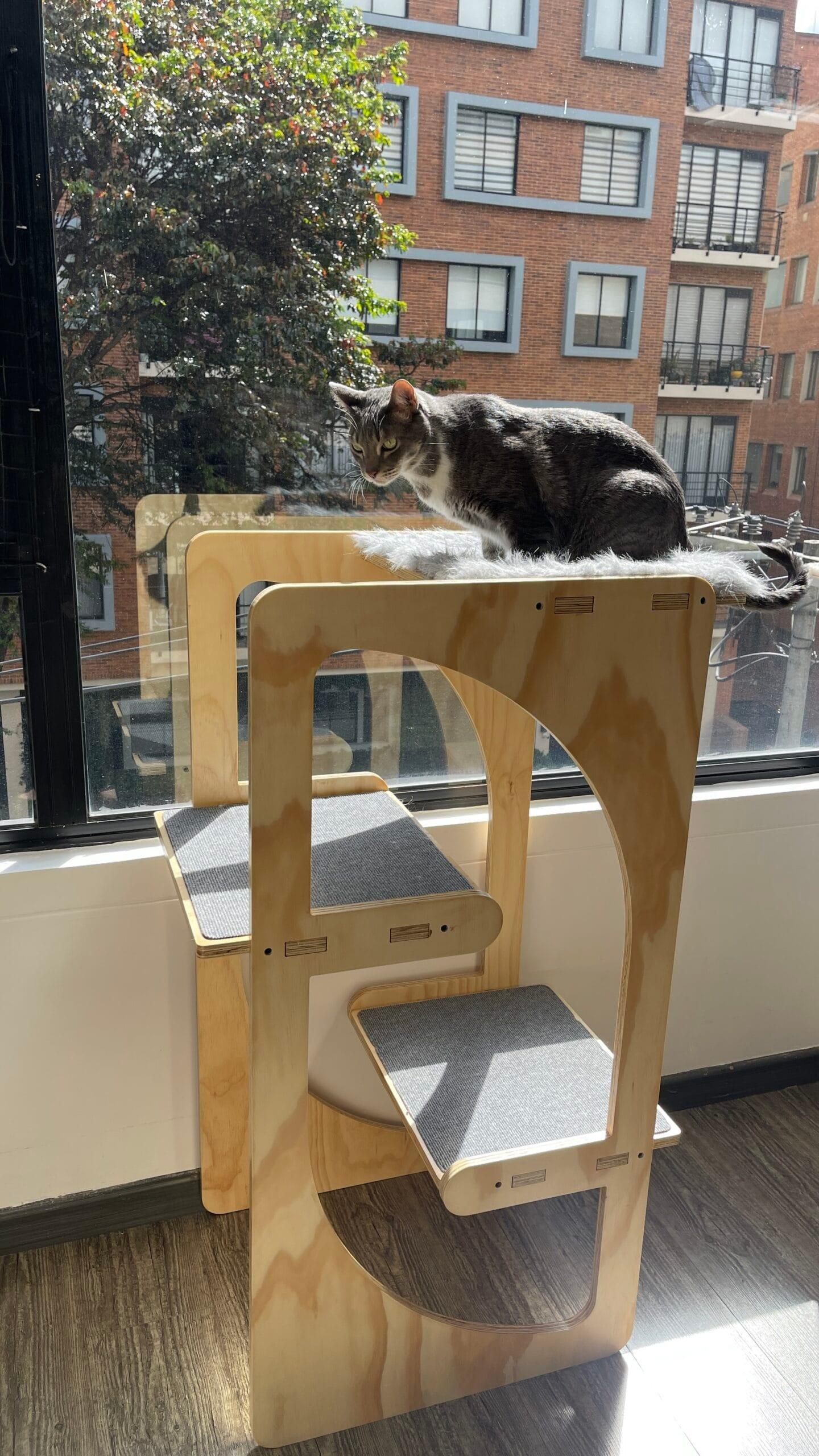 gimnasio para gatos - gimnasios para gato - gimnasios para gatos - bogota - gatificando