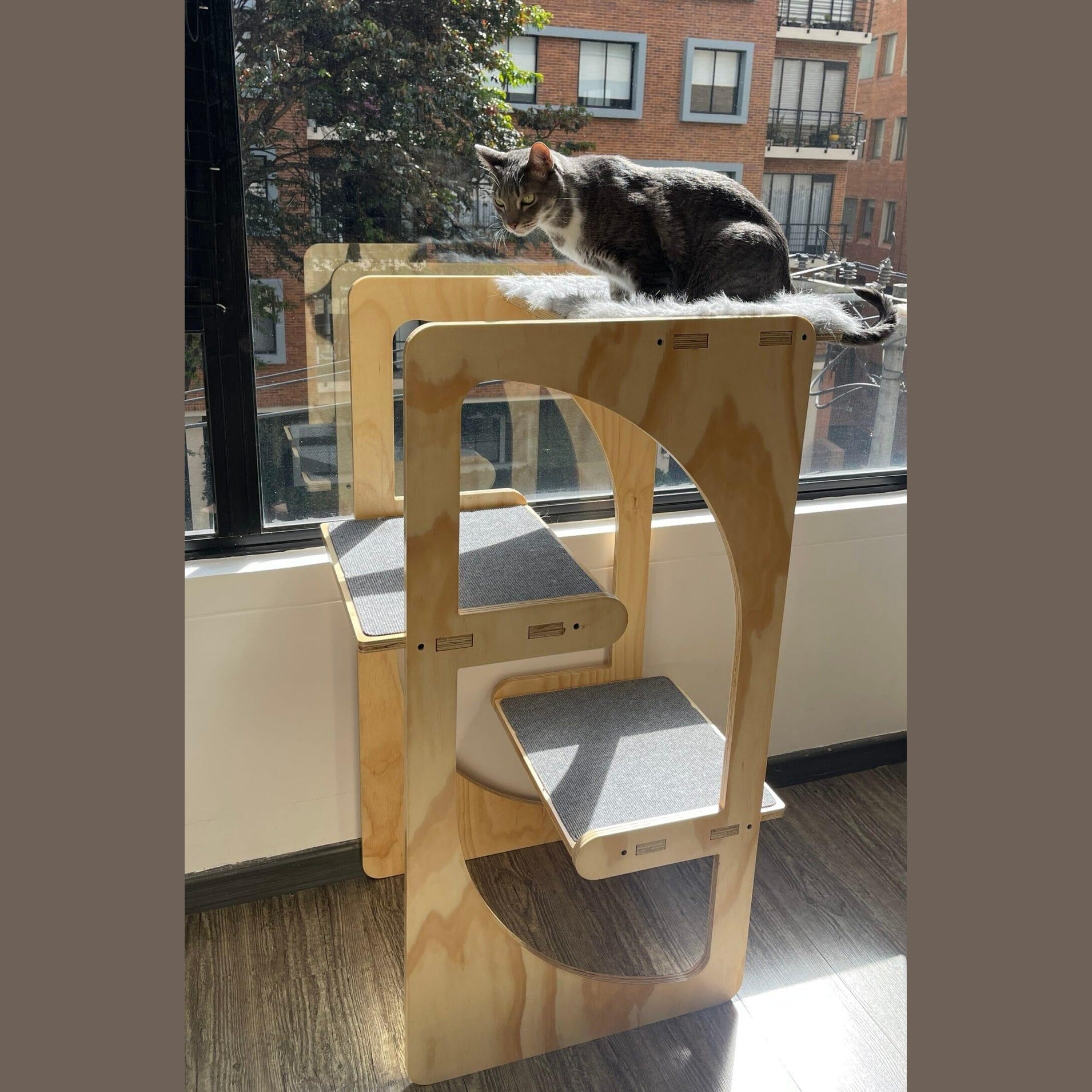 gimnasio para gatos - gimnasios para gato - gimnasios para gatos - bogota - gatificando