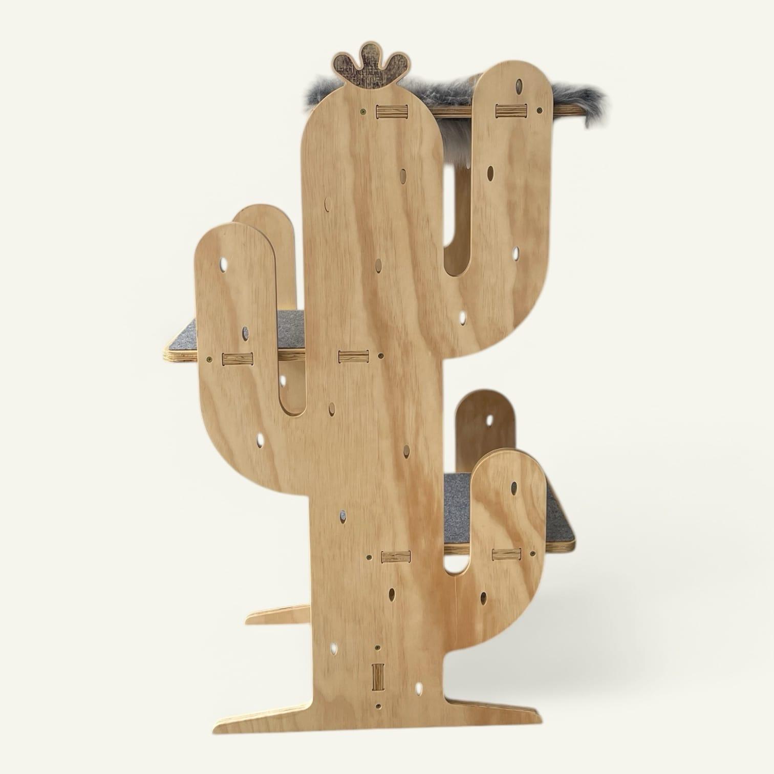 Gimnasio Cactus