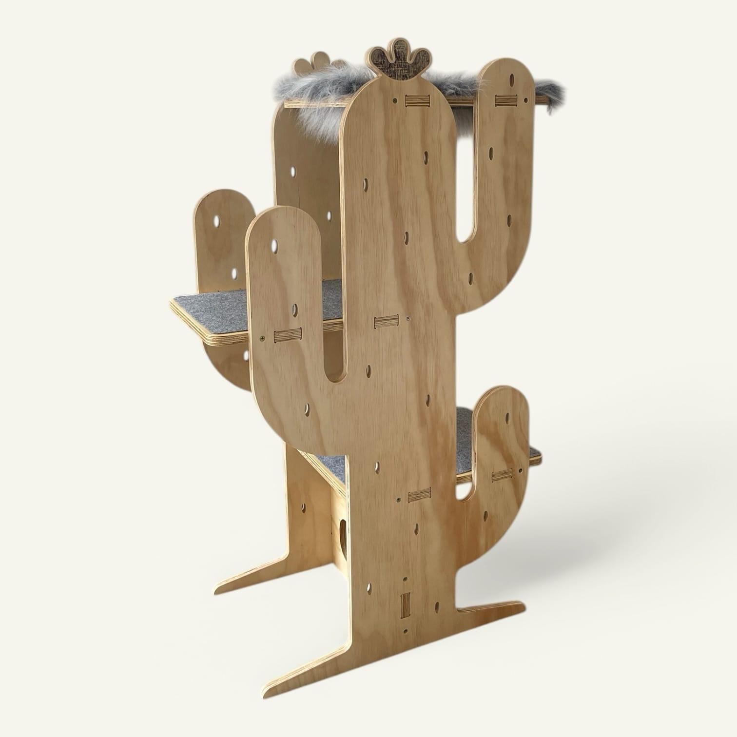 Gimnasio Cactus