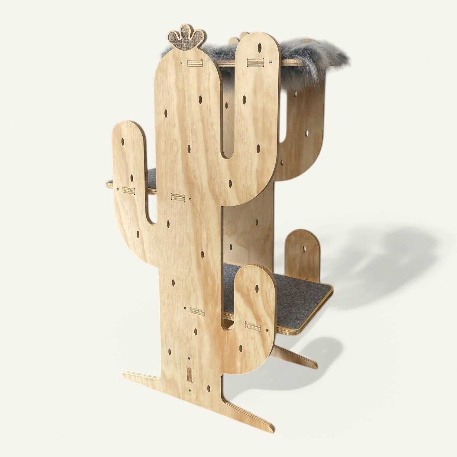 Gimnasio Cactus