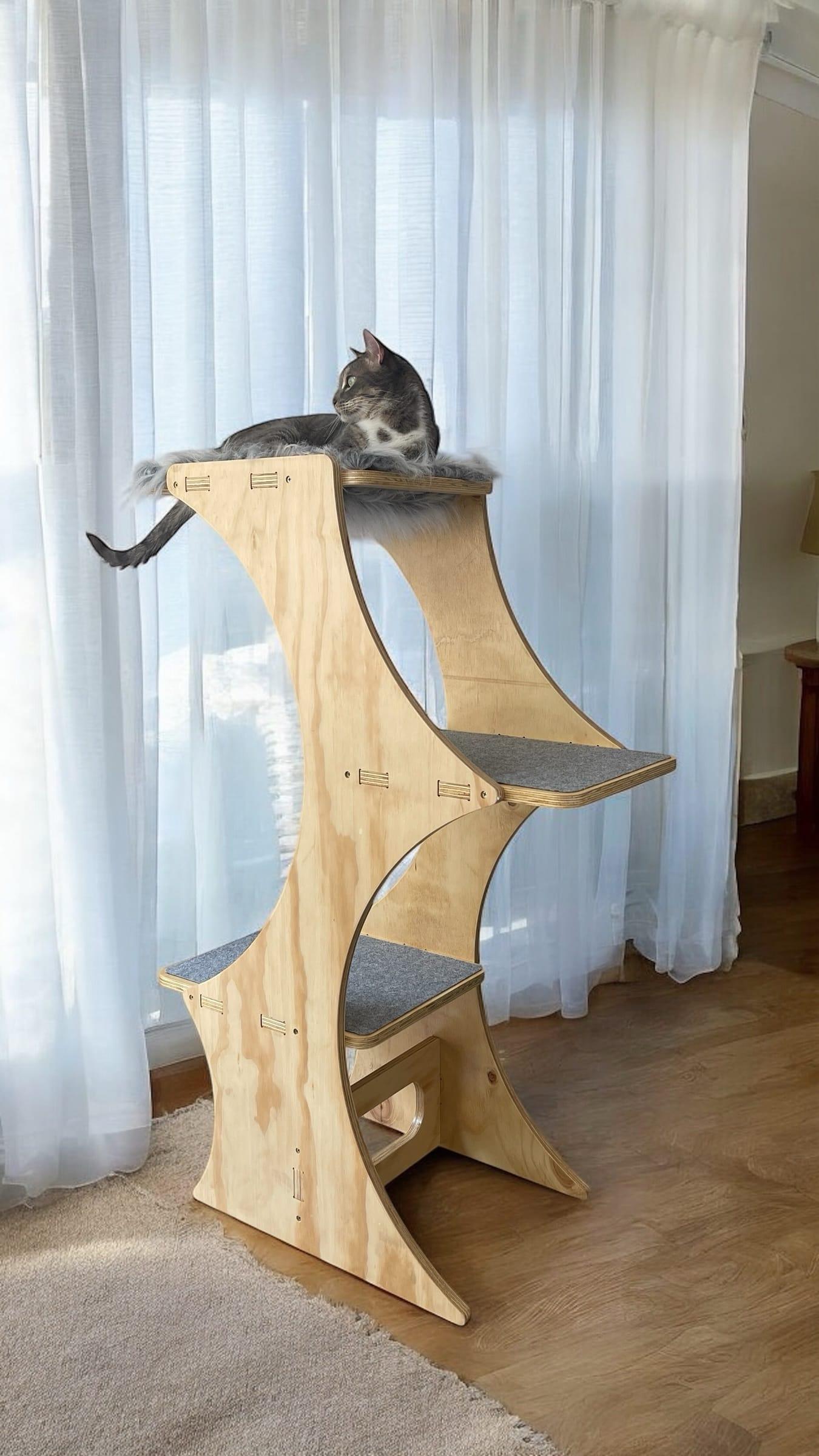 Gimnasio Ola