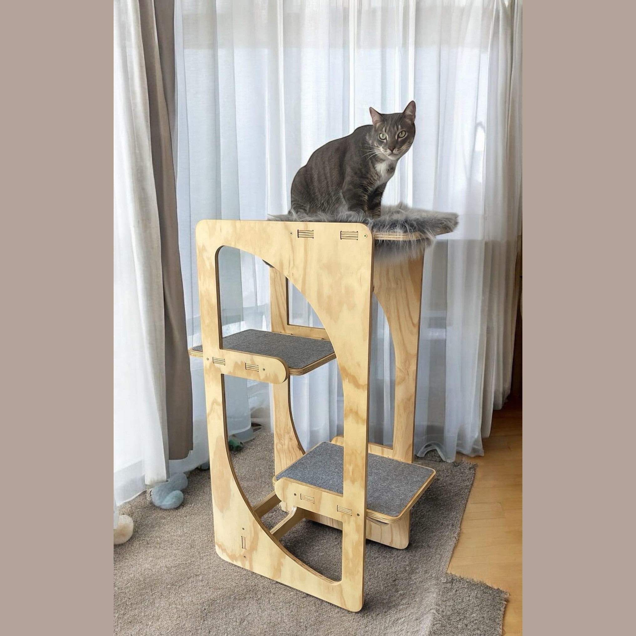Gimnasio Bastet
