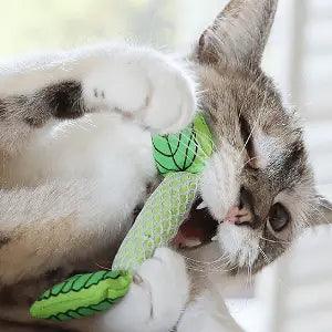 juguete mordedero aliento fresco gatos cuidado dental gatificando