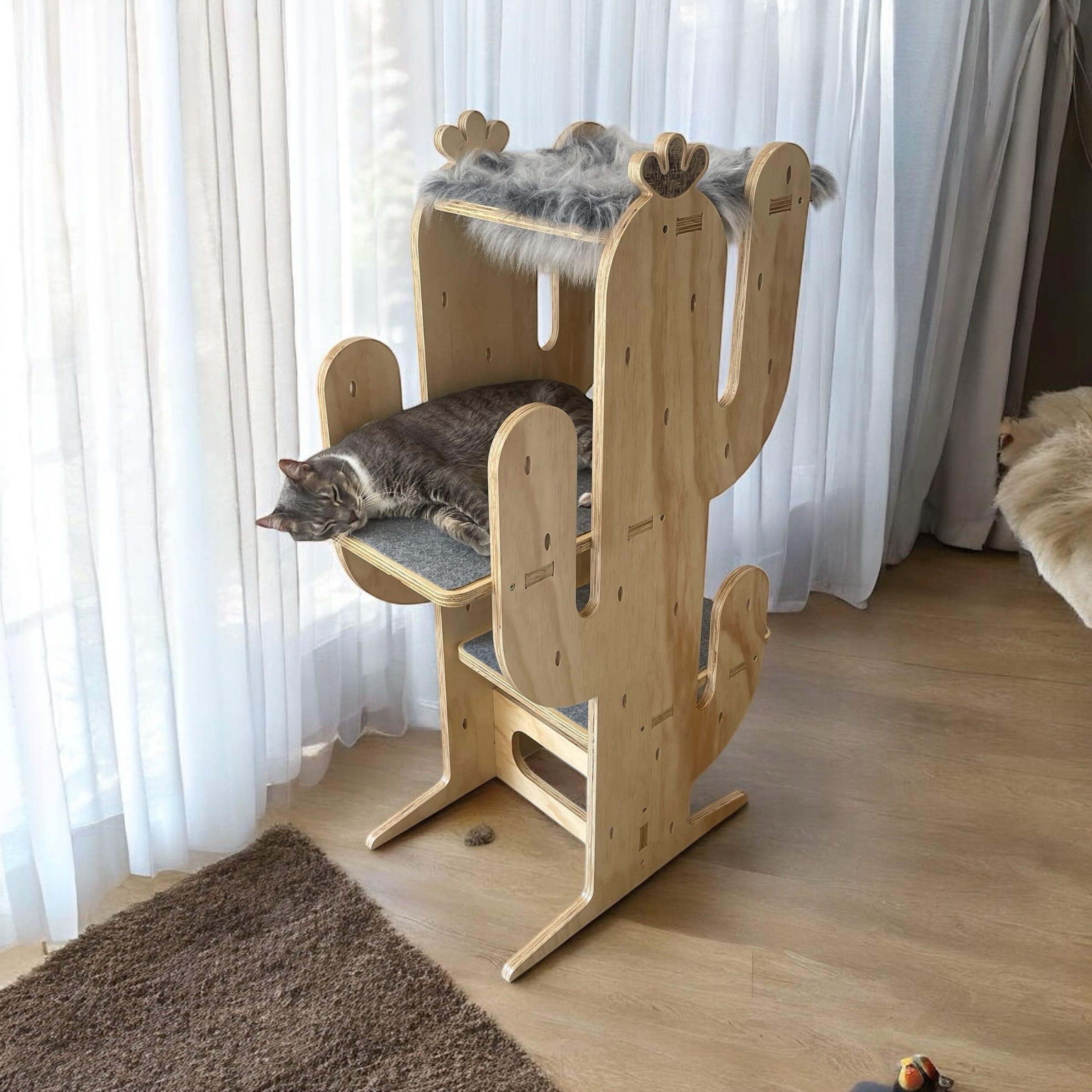 Gimnasio Cactus