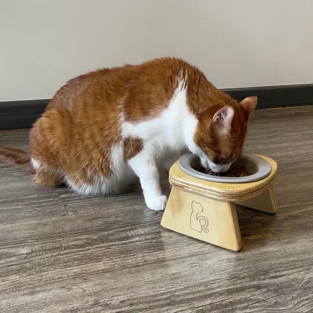 Comedero Elevado para Gato