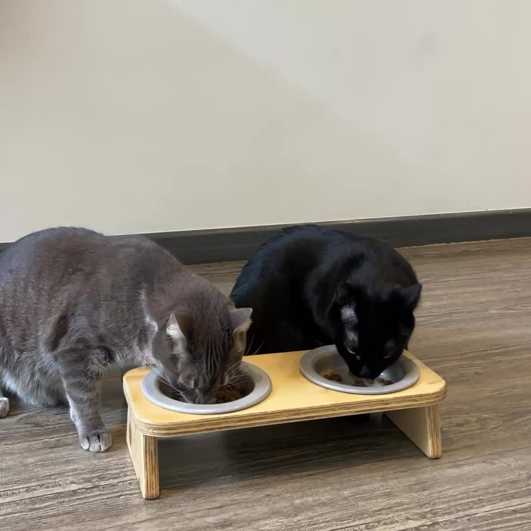 Comedero elevado doble para gato – diseño en madera y cerámica