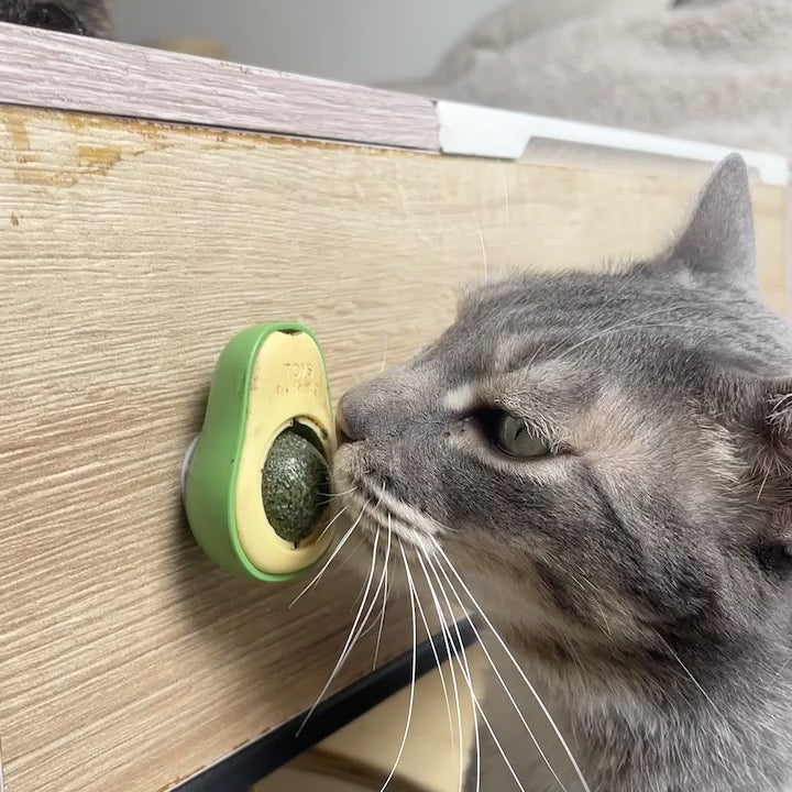 Aguacatnip