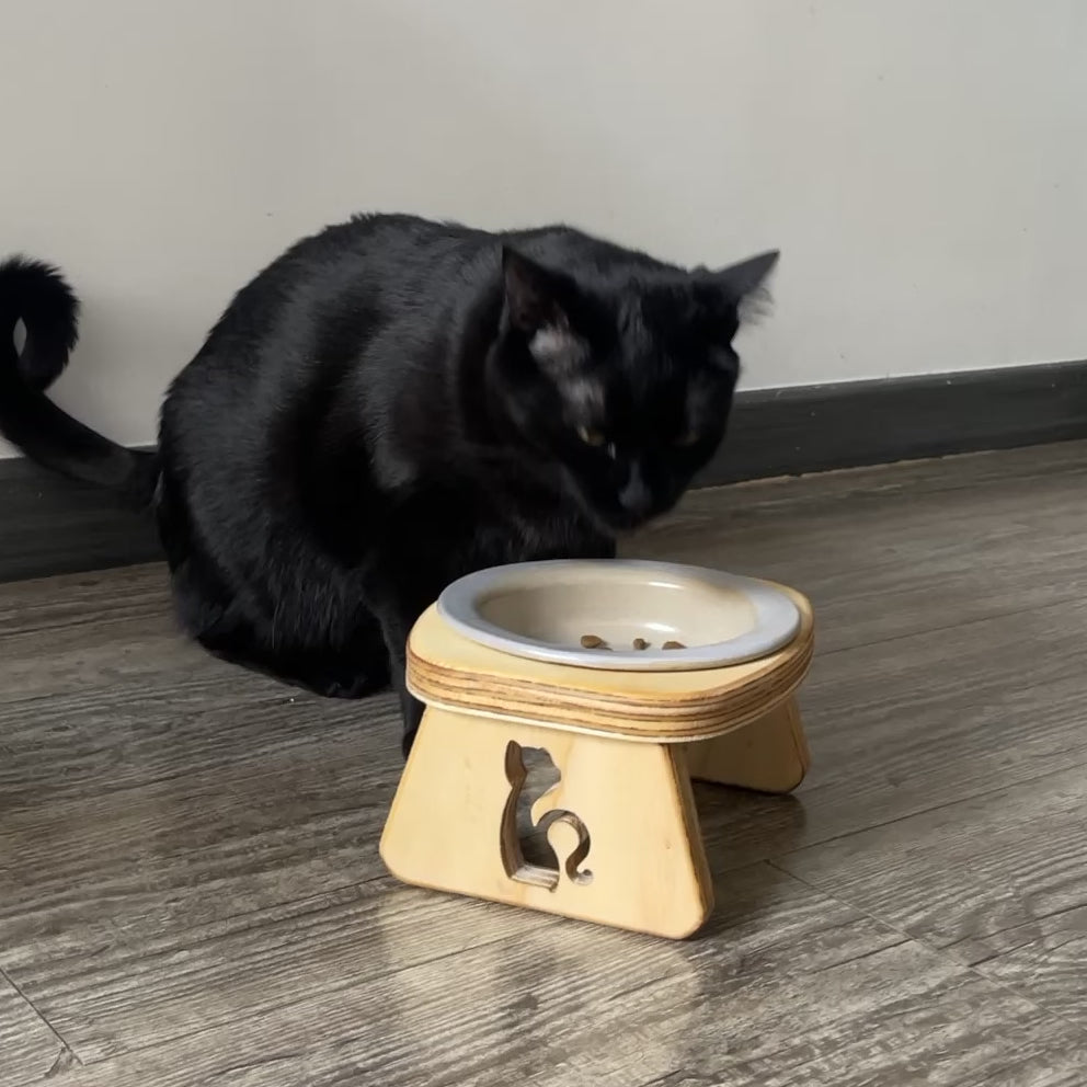 Comedero Elevado para Gato