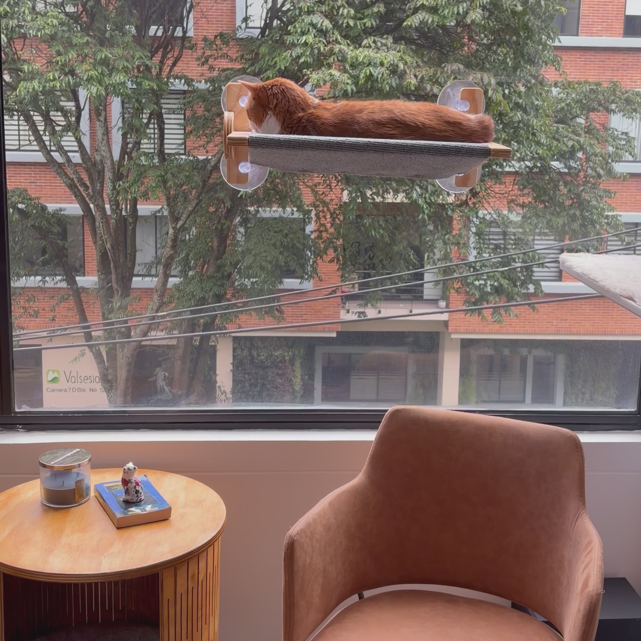 Mirasol – Hamaca de ventana para gatos