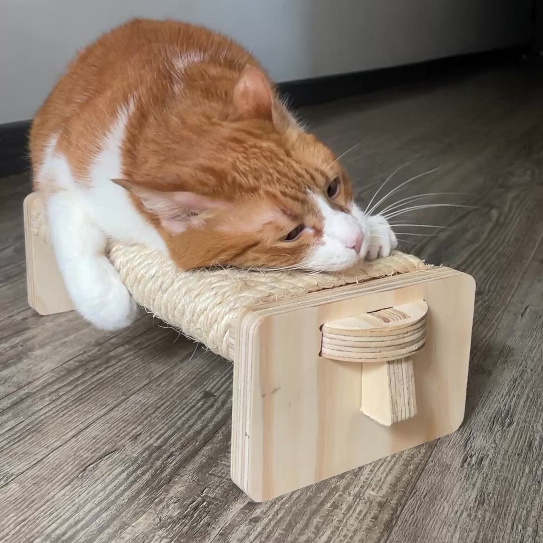 Rascador DIY Gatificando – Arma, personaliza y reutiliza